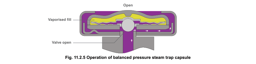 How Balanced Pressure Steam Traps Work