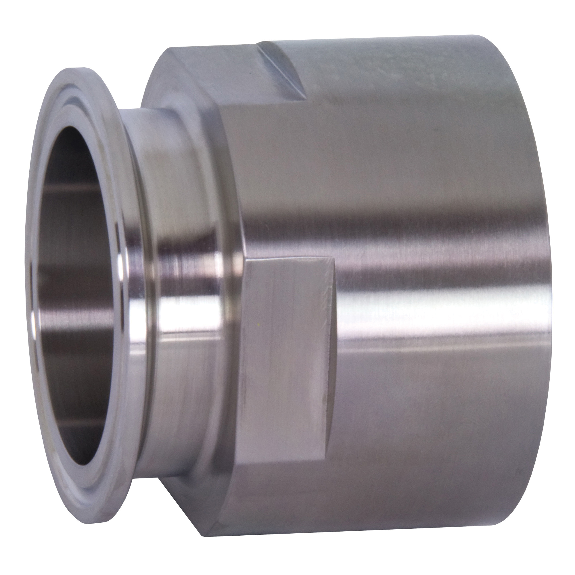 Dixon FNPT Sanitary Clamp Adapter