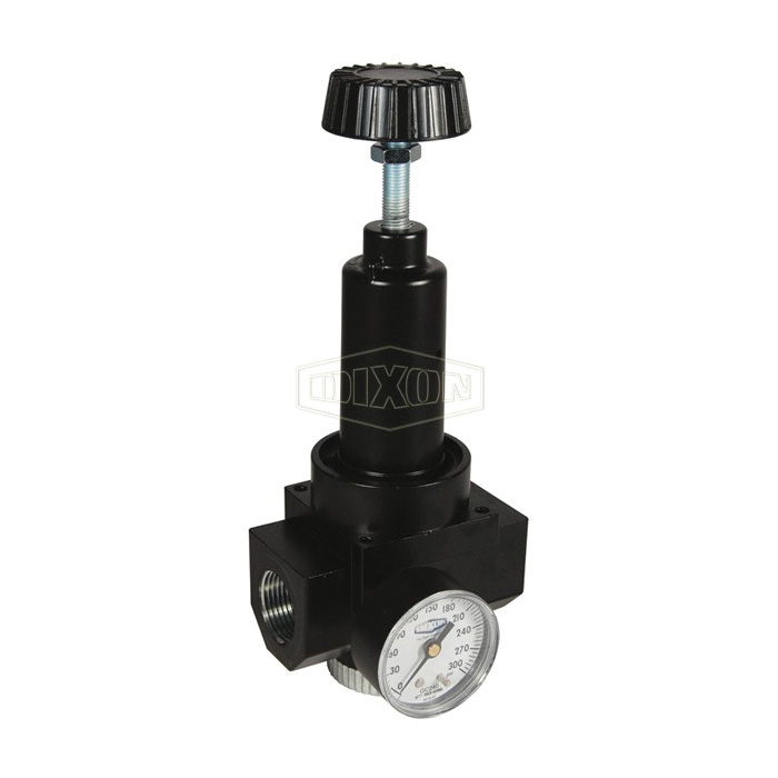 Wilkerson® by Dixon® R30-06RHG