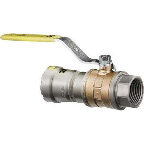 MegaPressG Model 6675-1 Ball Valve