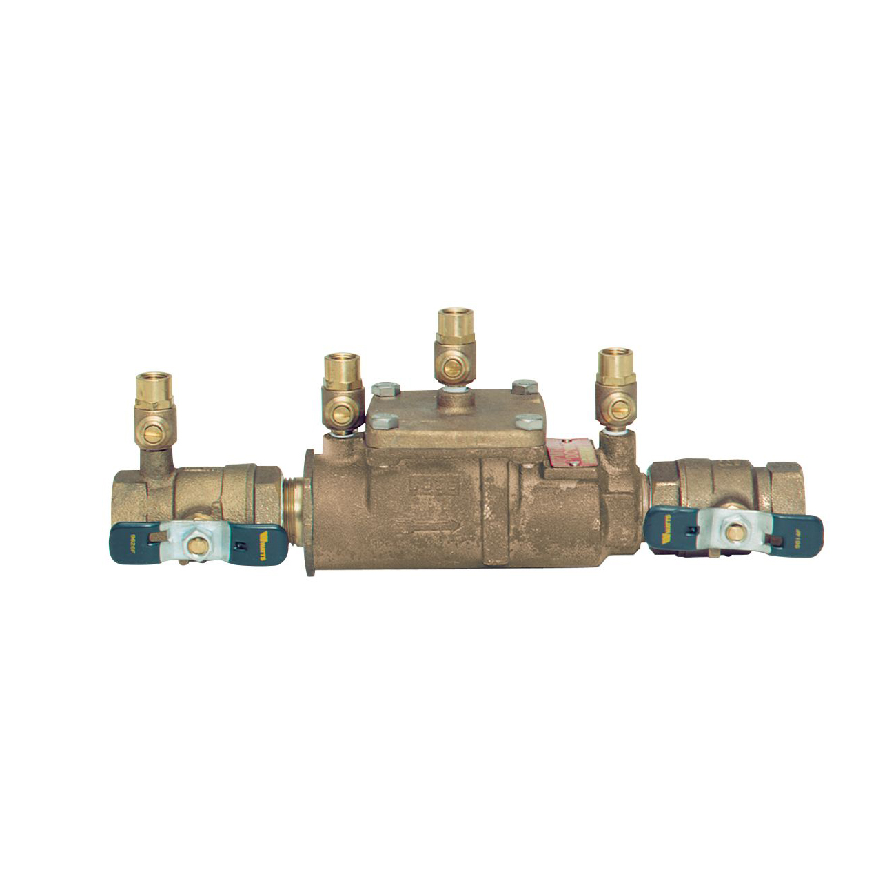 WATTS® 0122617