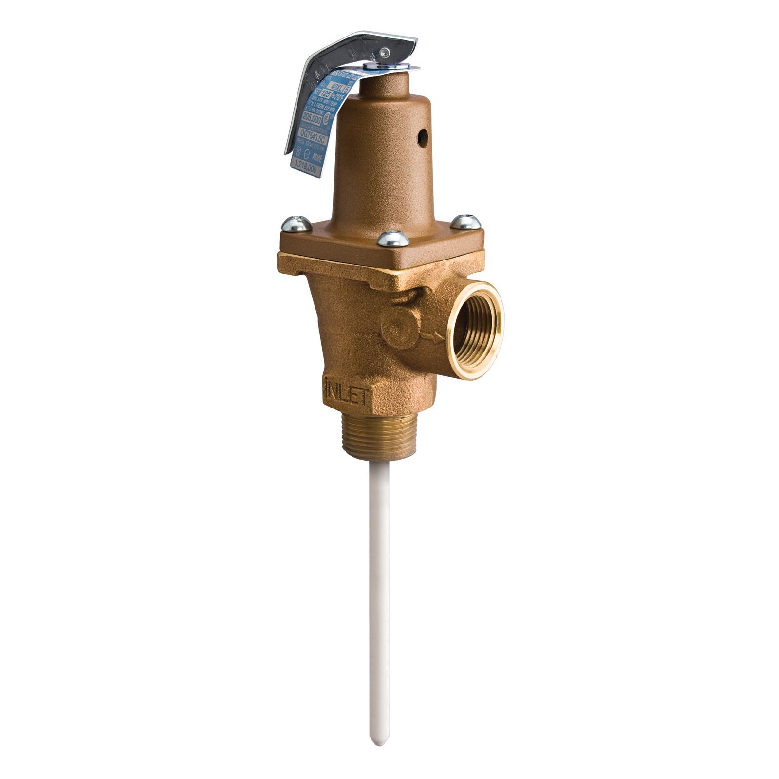 WATTS® 0156731