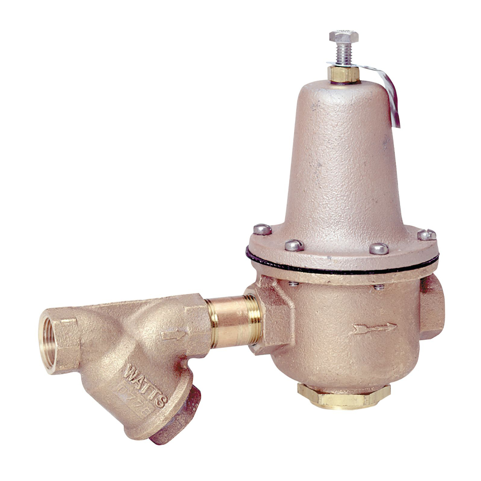 WATTS® 0298524