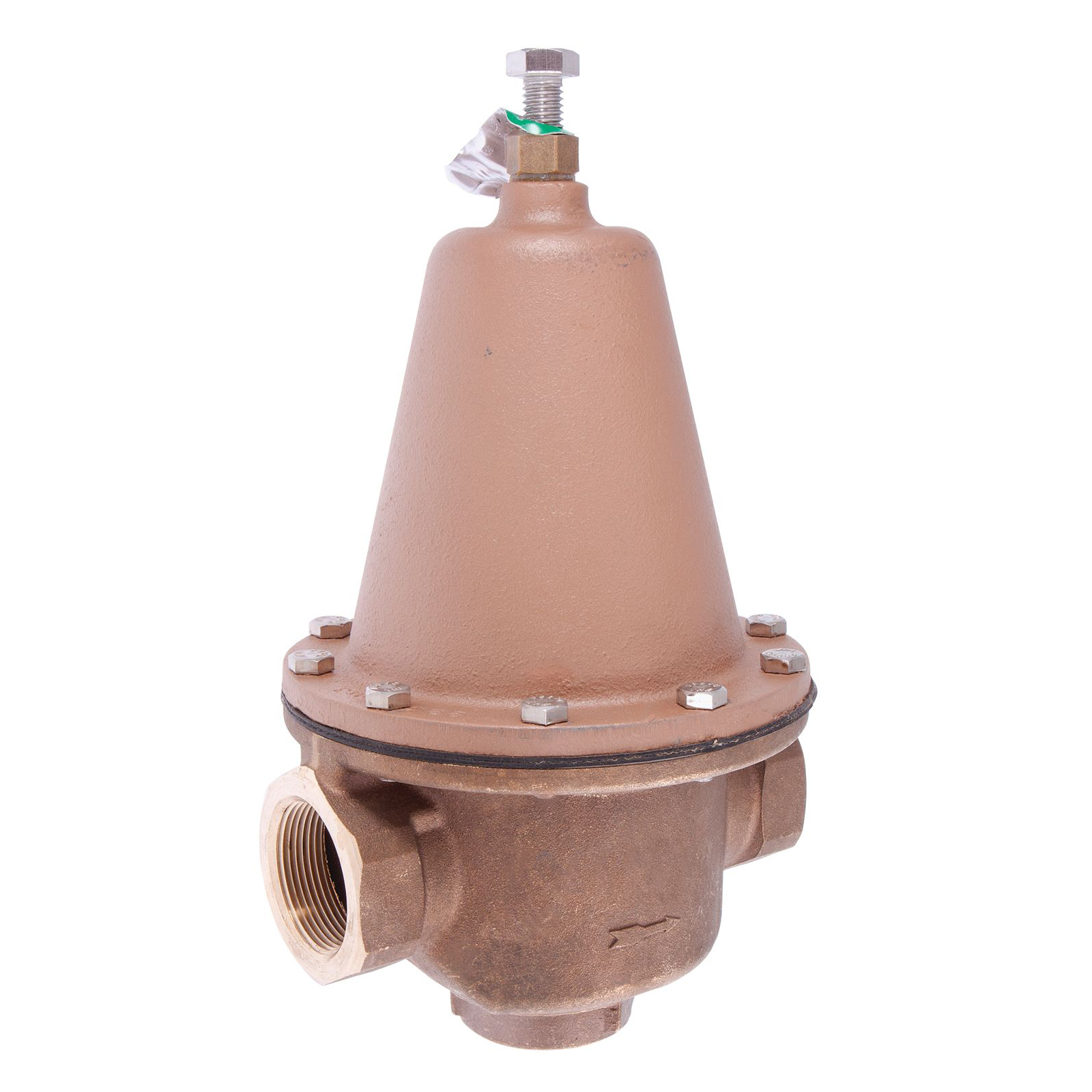 WATTS® 0298585