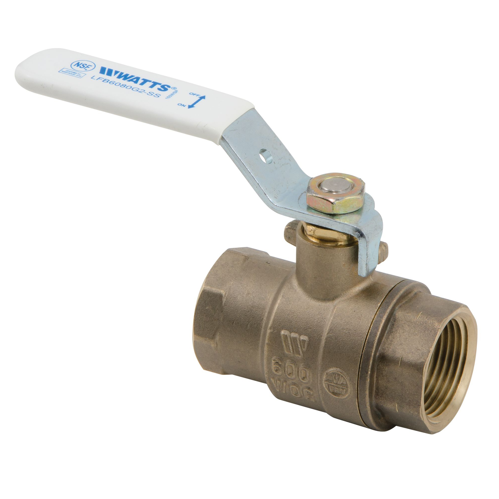 WATTS® 0450119