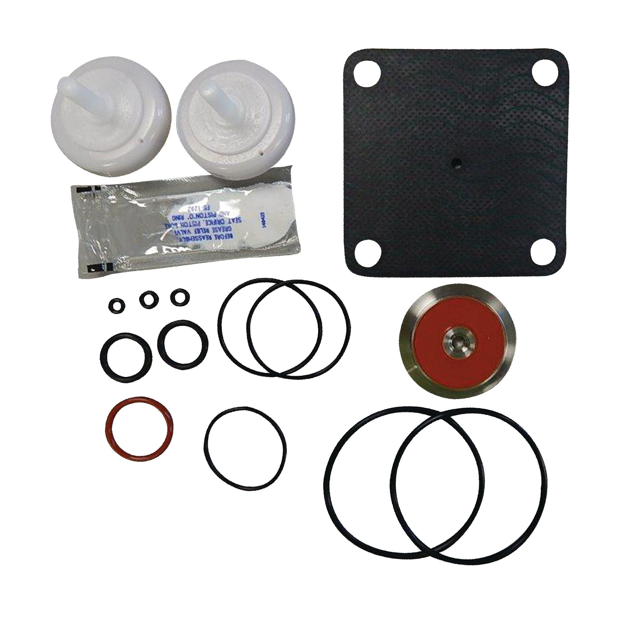 WATTS® 0794069
