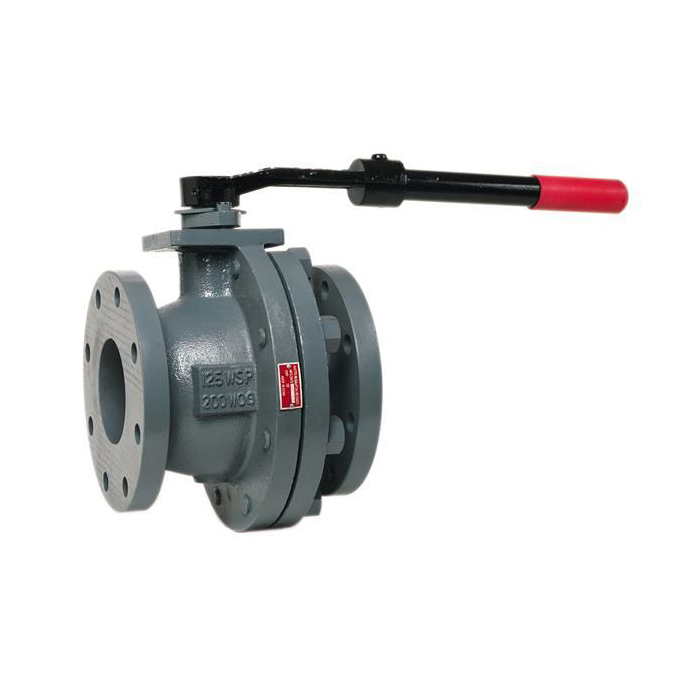 WATTS® 0830002