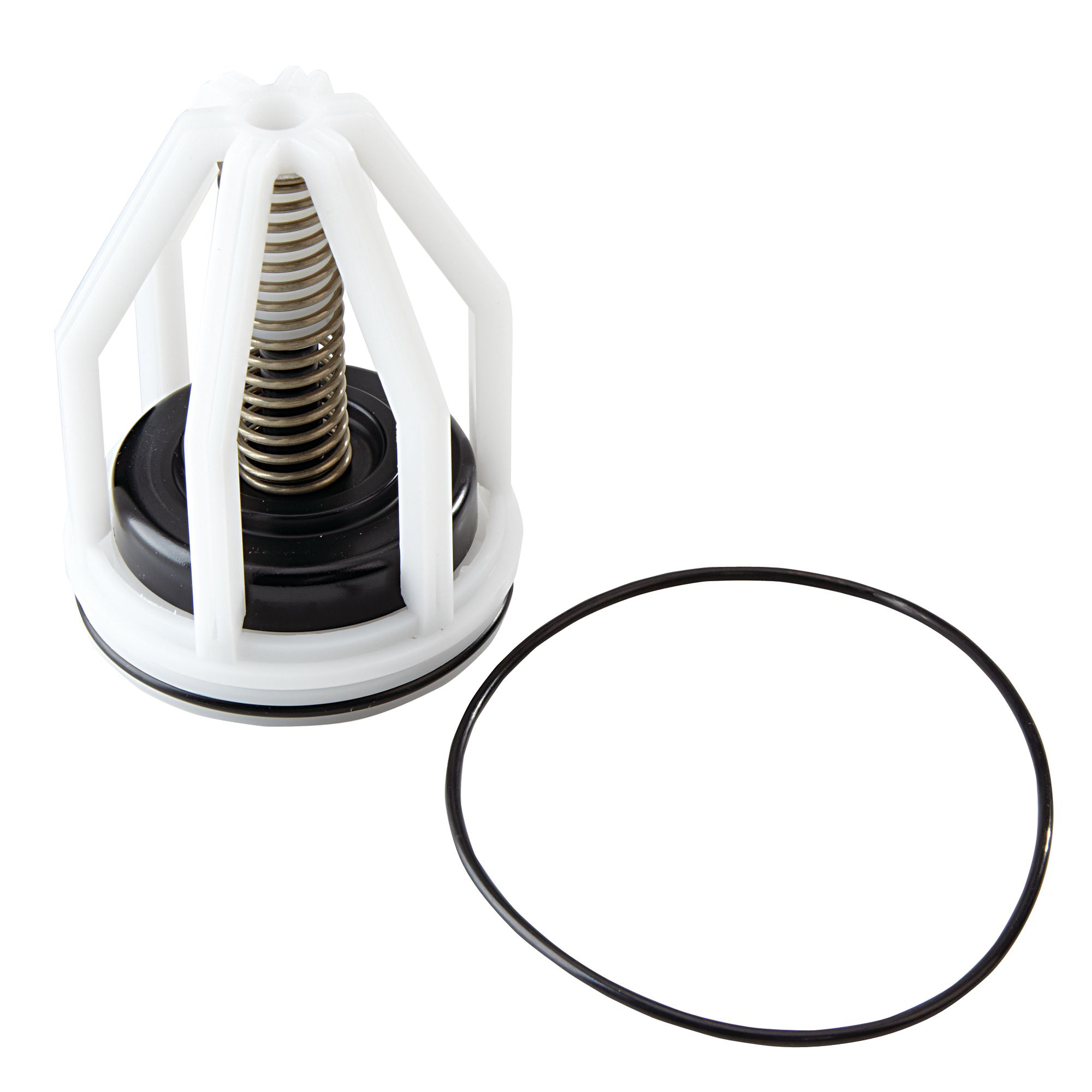 WATTS® 0887186