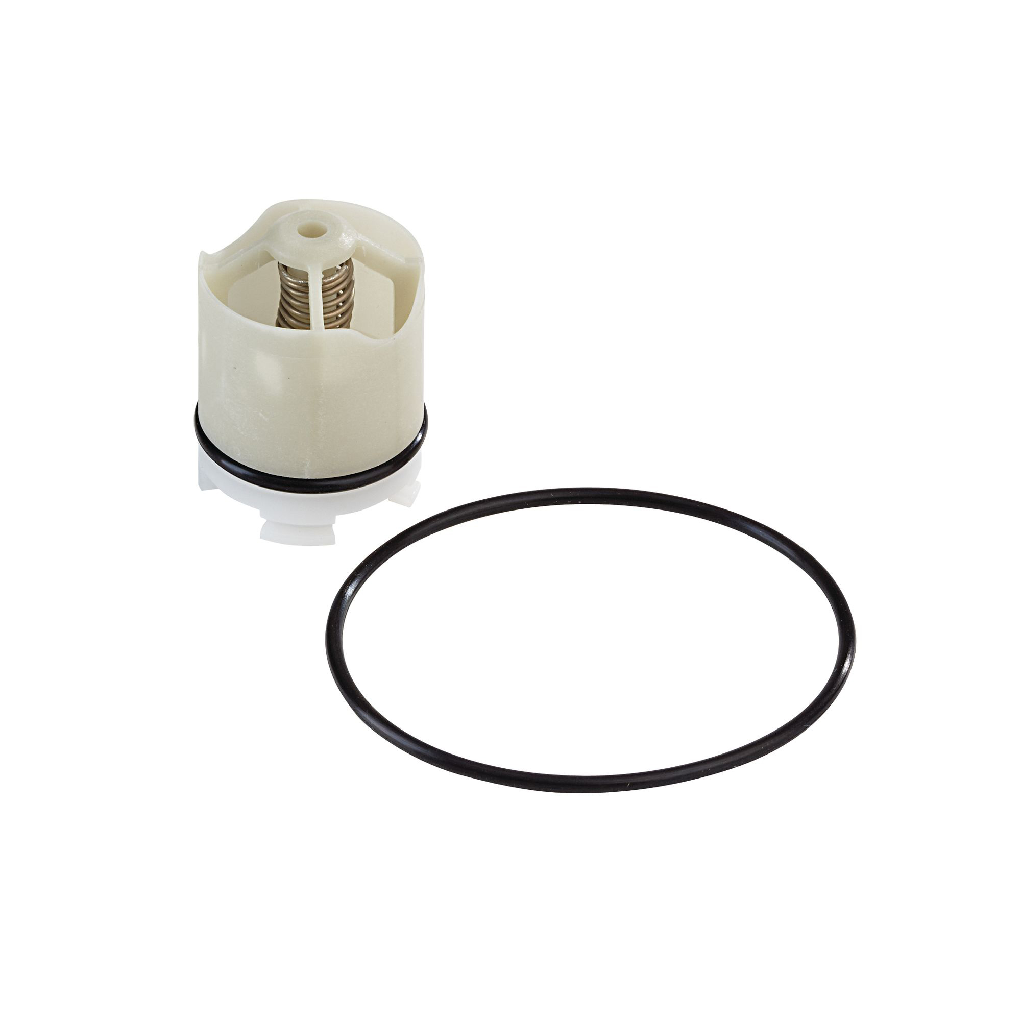 WATTS® 0887291