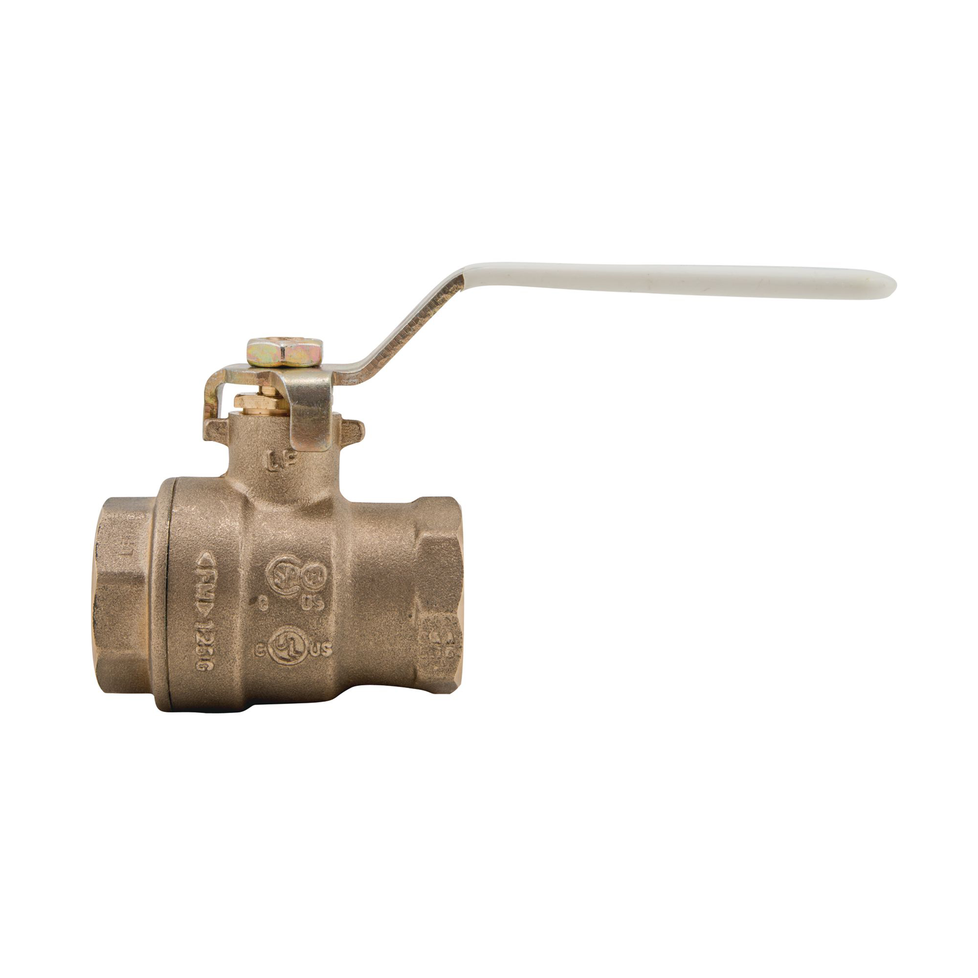 WATTS® 88005696