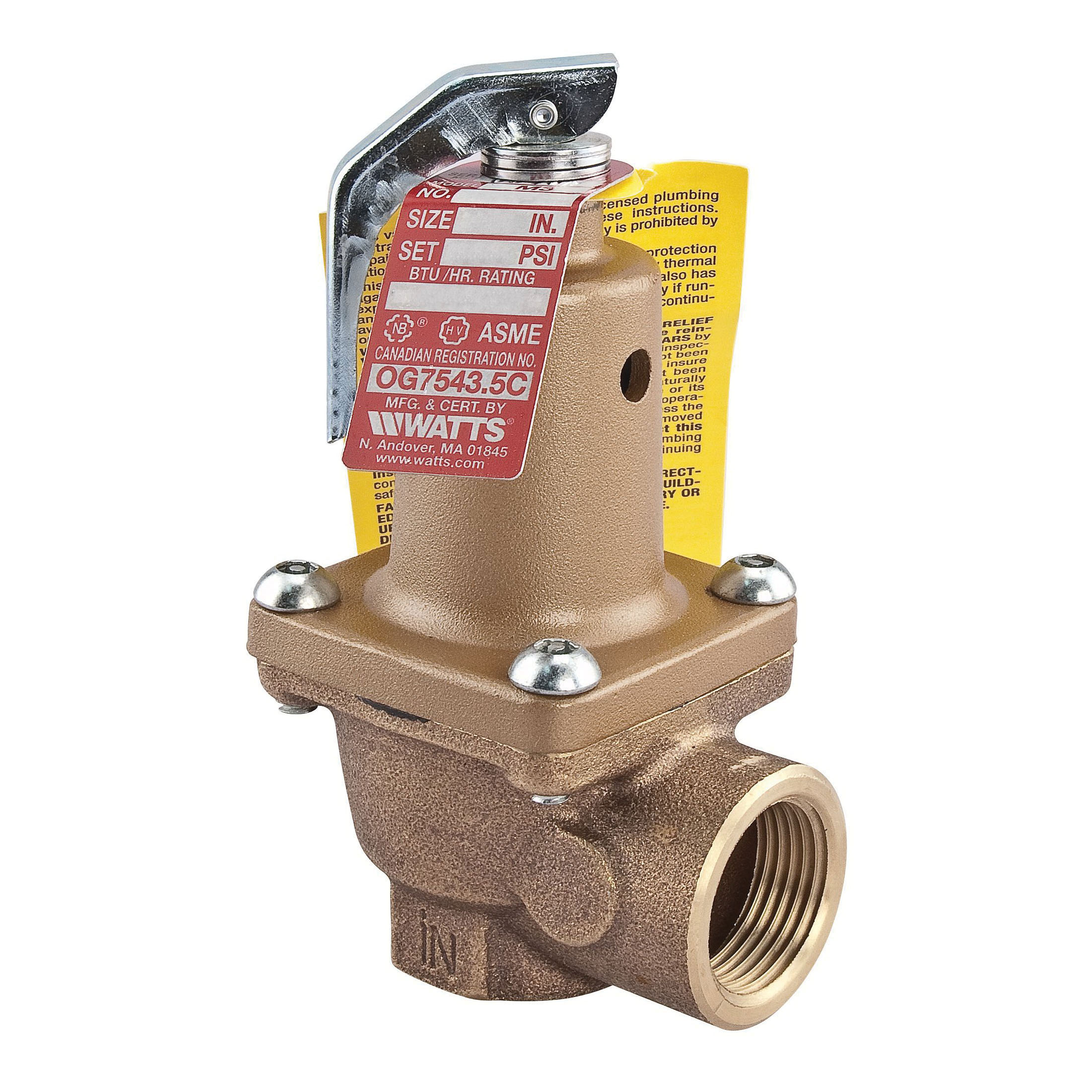 WATTS® 0121489