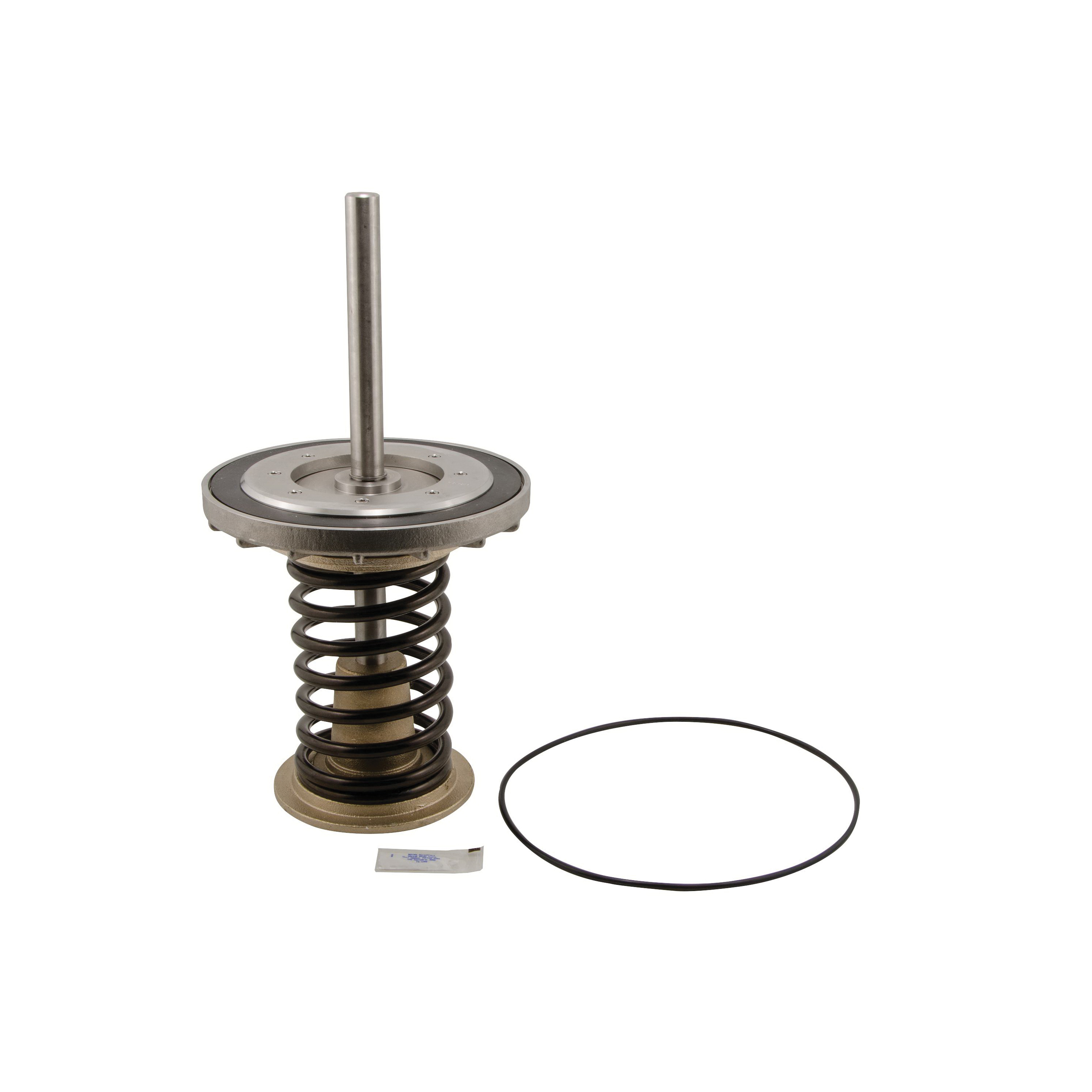 WATTS® 0794099