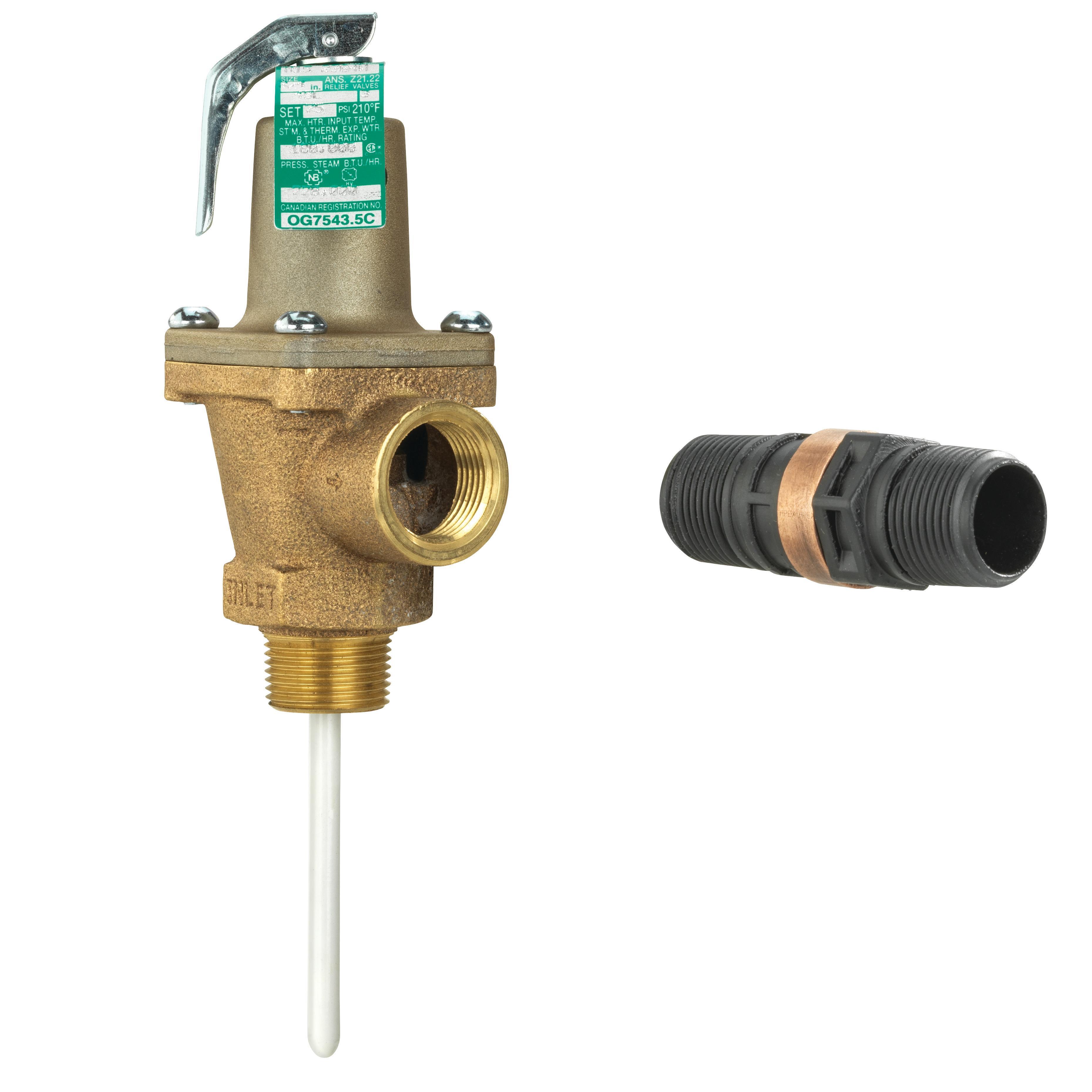 WATTS® F556013
