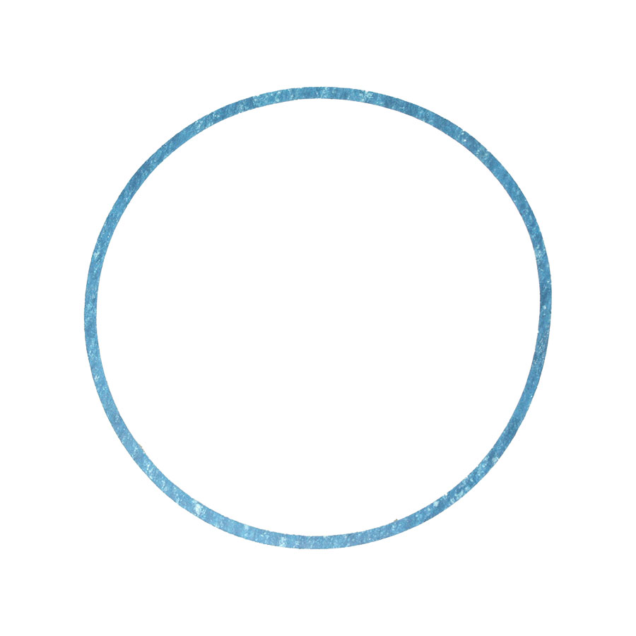 Bell &amp; Gossett P57410 Body Gasket