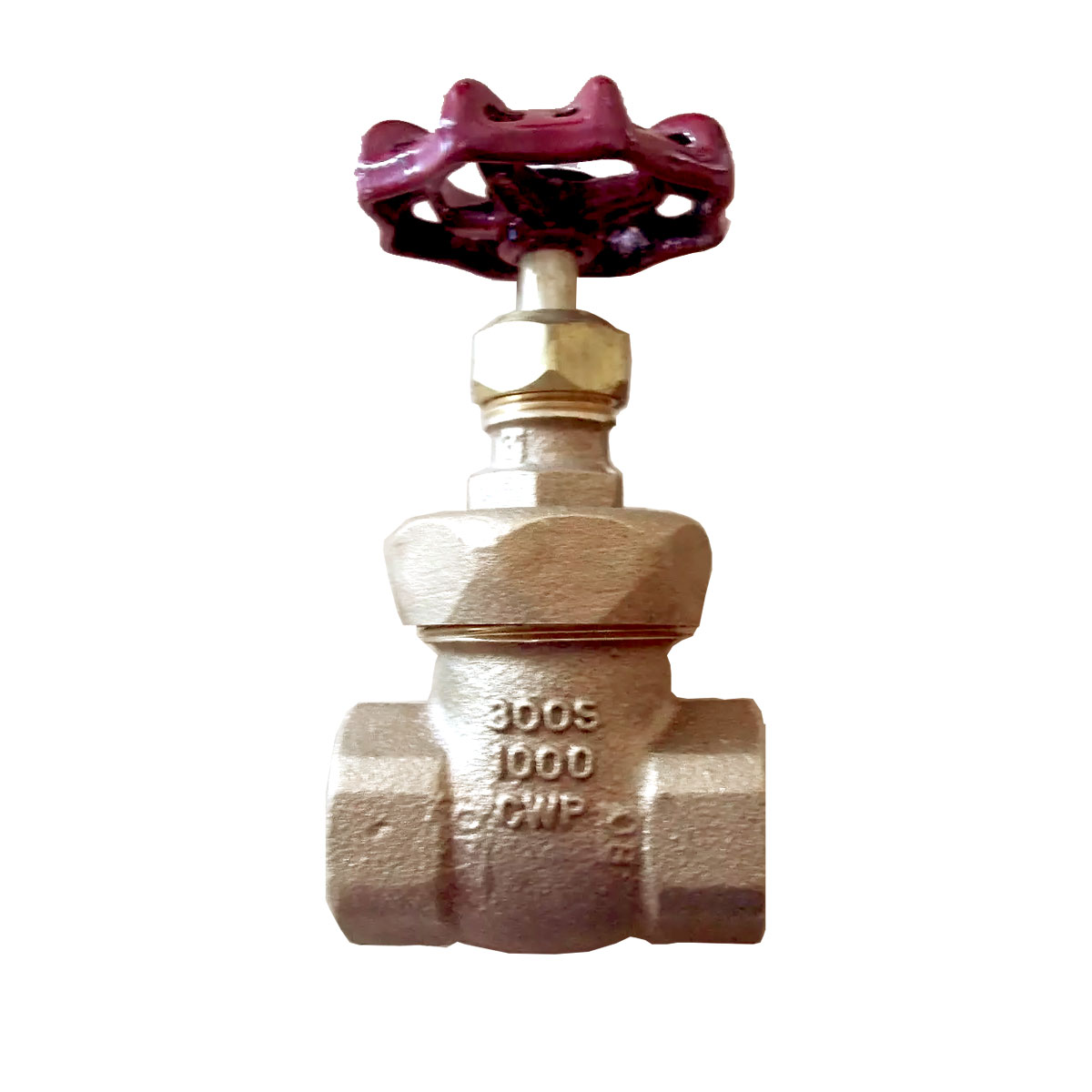 Crane 636E Gate Valve