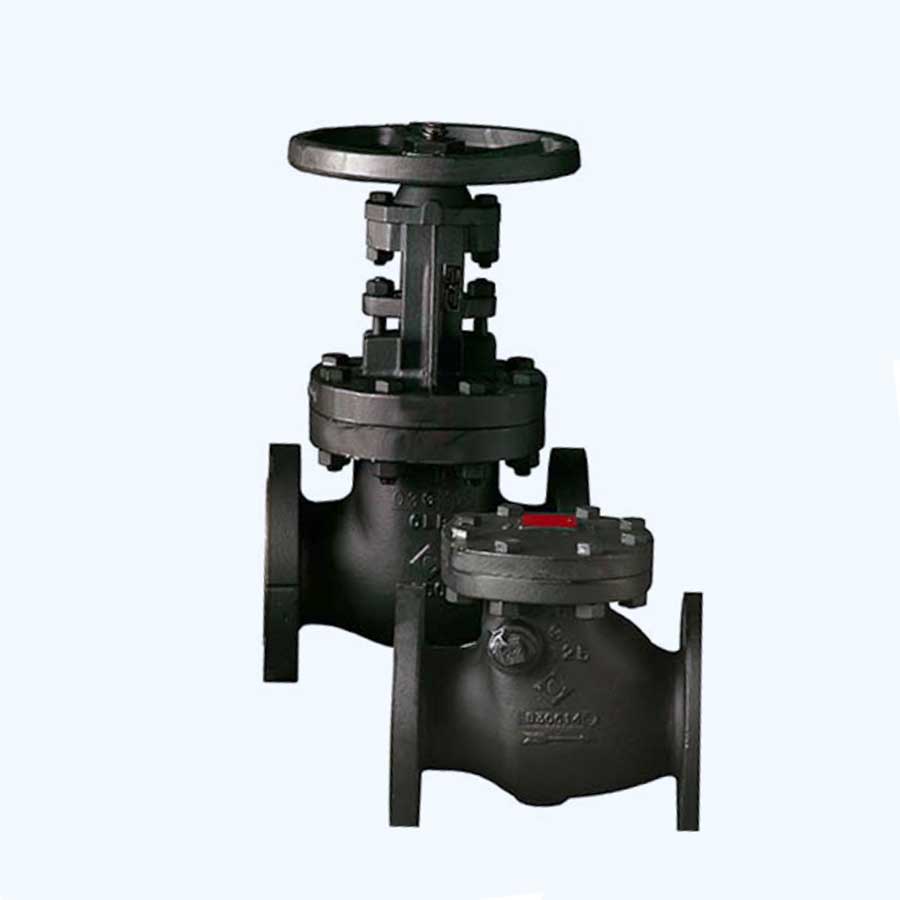 CRANE 373 Series Swing Check Valve
