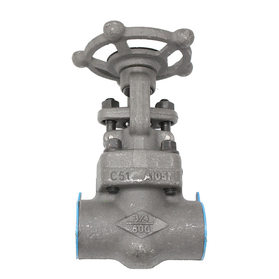 CRANE Steel Gate Valve
