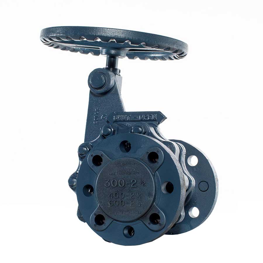 Everlasting 4061A 2-1/2 Blowdown Valve, Slow Opening