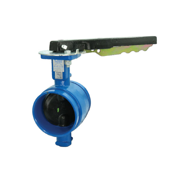 GRUVLOK AE-7721-3 Butterfly Valve