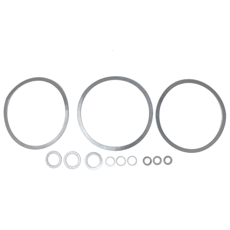 Spirax Sarco 0666081 Gasket Set