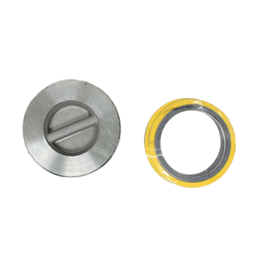 Spirax Sarco SDVC44 Check Valve Kit with Gasket