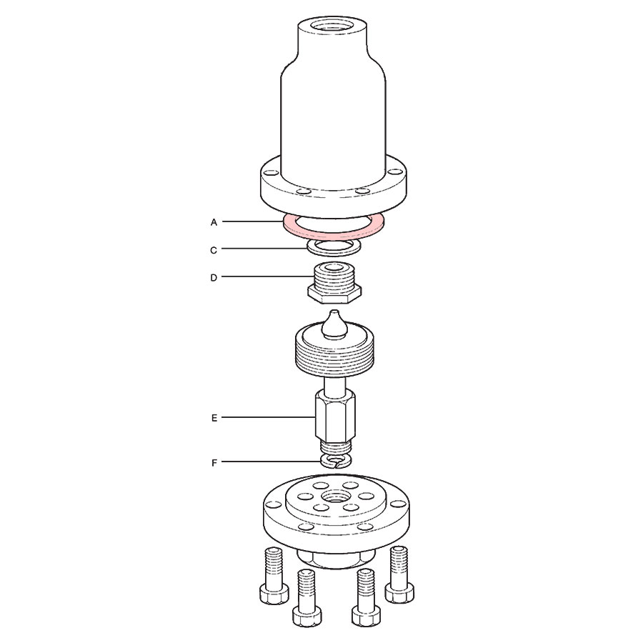 Spirax Sarco VS206 Cap Gasket