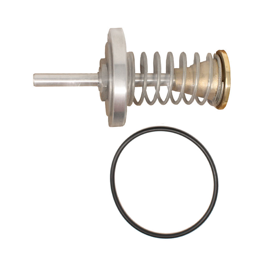 Watts 0794101 LFRK 909-CK2 Second Check Kit