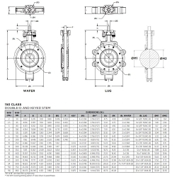 Apollo™ 215W10SSP2FA2