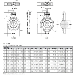 Apollo™ 230L25SSP2FC1