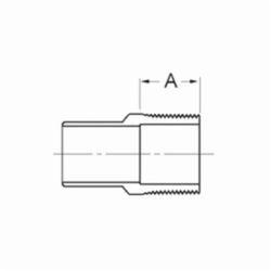Cello C x MNPT Adapter Illustration