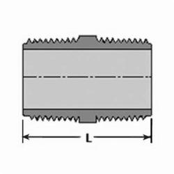 Spears CPVC Nipple Illustration
