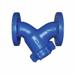 Spirax Sarco Blue Y-Strainer