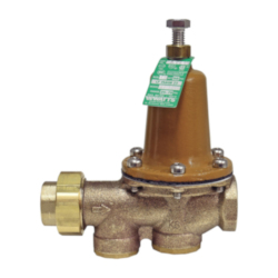 WATTS® 0009257