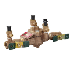 WATTS® 0391002