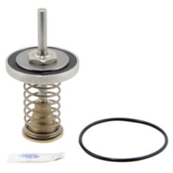 WATTS® 0794101