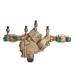 WATTS® F391009