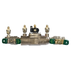 WATTS® T063231