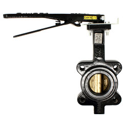 Apollo WD141 Butterfly Valve with Bronze Disc