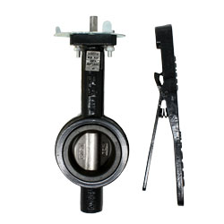 Apollo WD141 Wafer Style Butterfly Valve Unassembled with Lever