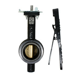 Apollo WD141 Wafer Style Butterfly Valve Unassembled with Lever