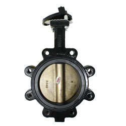 Apollo WD141 Butterfly Valve Body with Bronze Disc