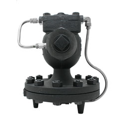 Spirax Sarco 25P Main Valve with Stainless Tubing