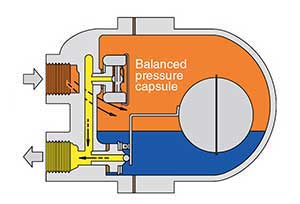 How F and T Steam Traps work