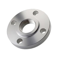 Stainless Steel Threaded Flange