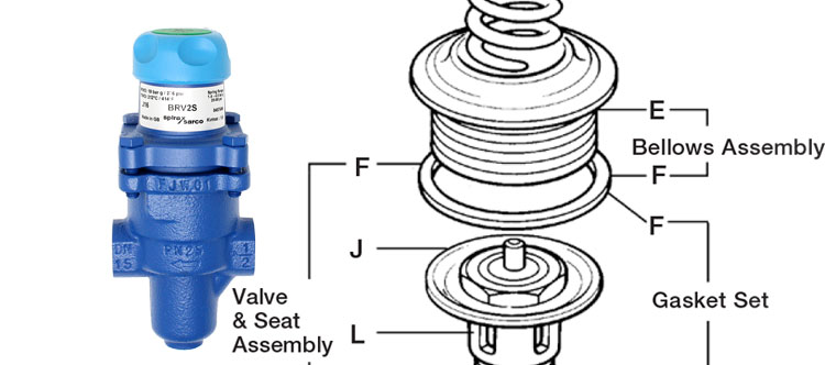 Spirax Sarco BRVS2 Series Spare Parts